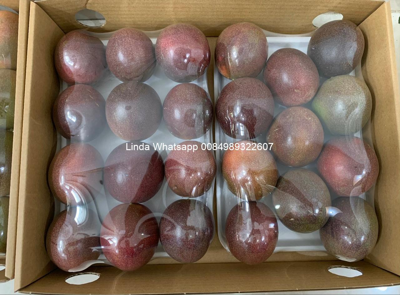 MANGOSTEEN (16)