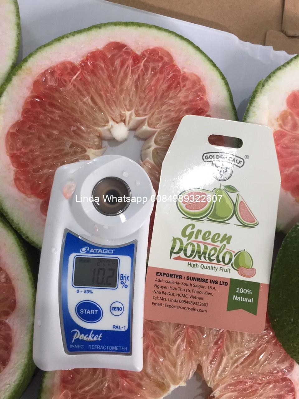 POMELO (38)