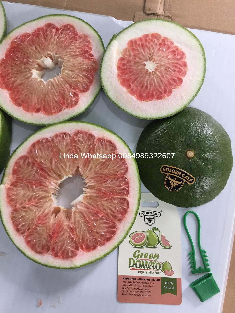 POMELO (46)