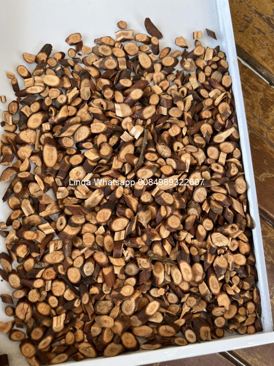 branch-cut-cassia (4)