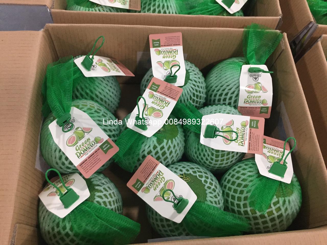 fresh-pomelo (148)