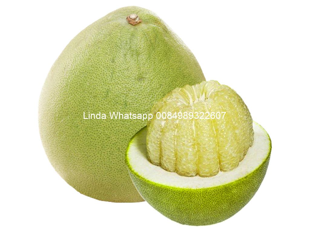 honey-pomelo