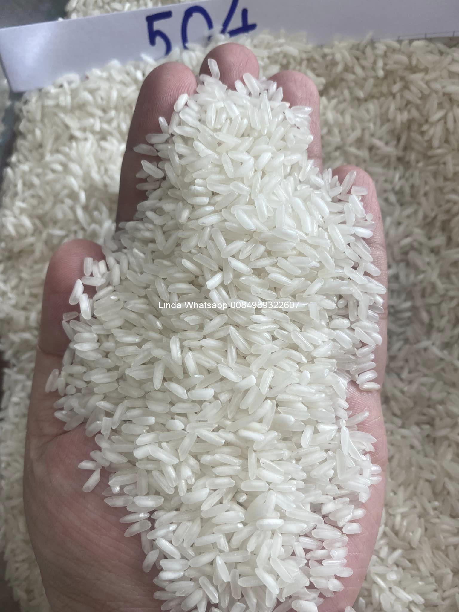 long grain 504