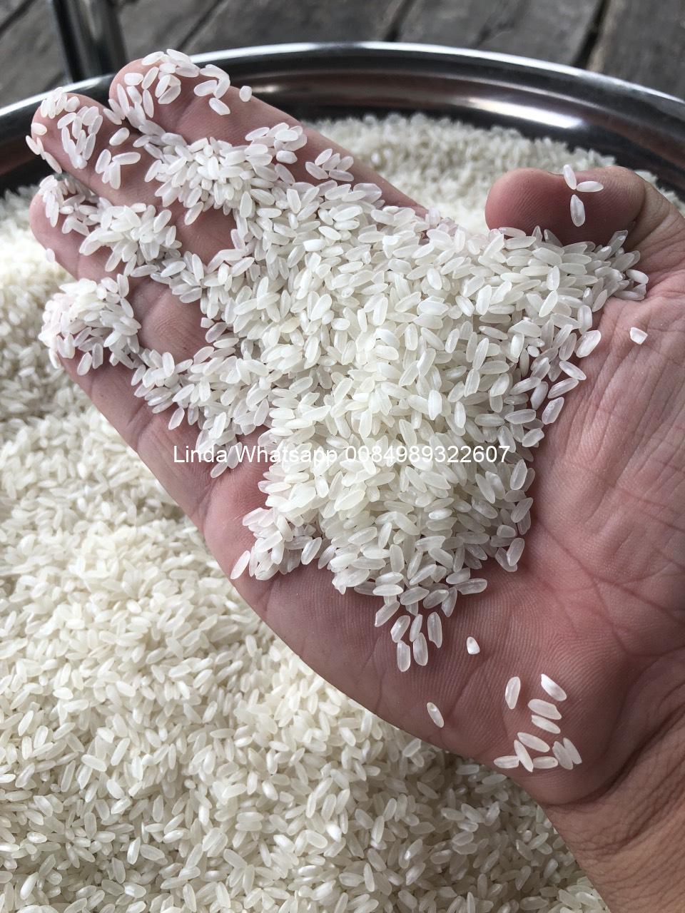 medium-rice-dx (10)