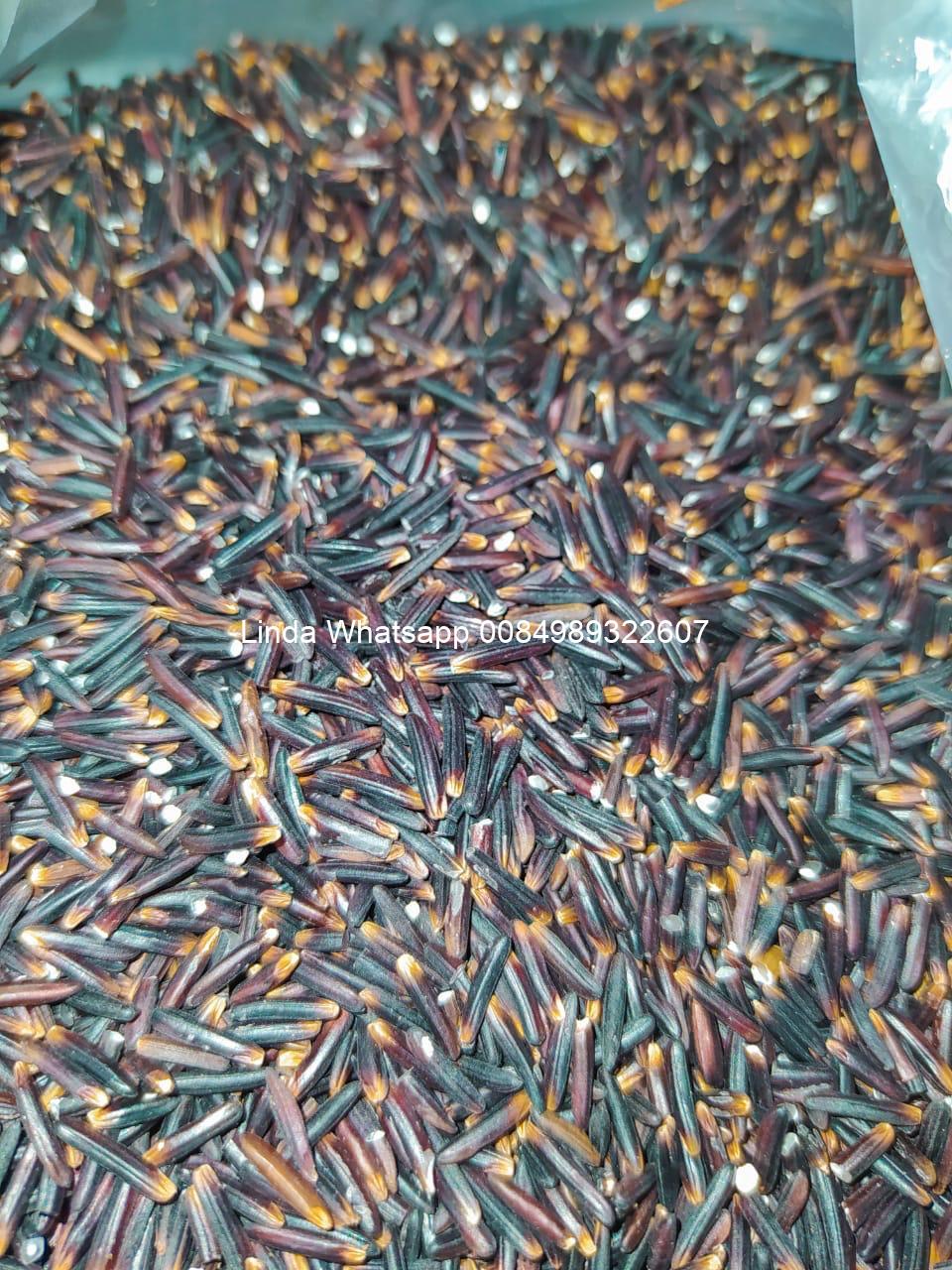 purple_rice (2)
