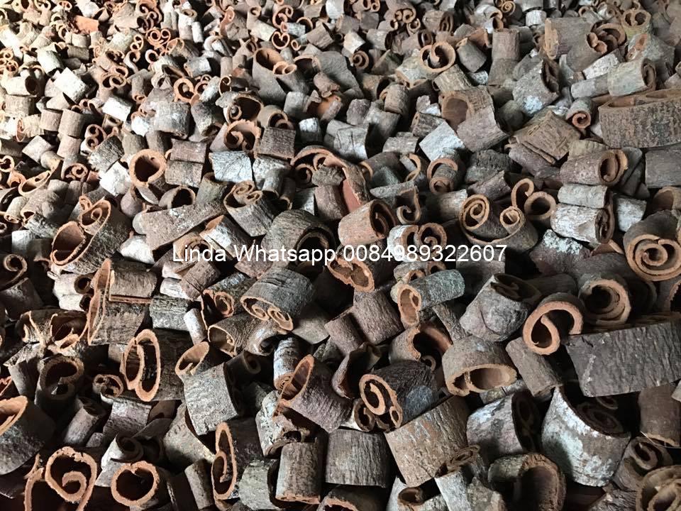round-cut-cassia