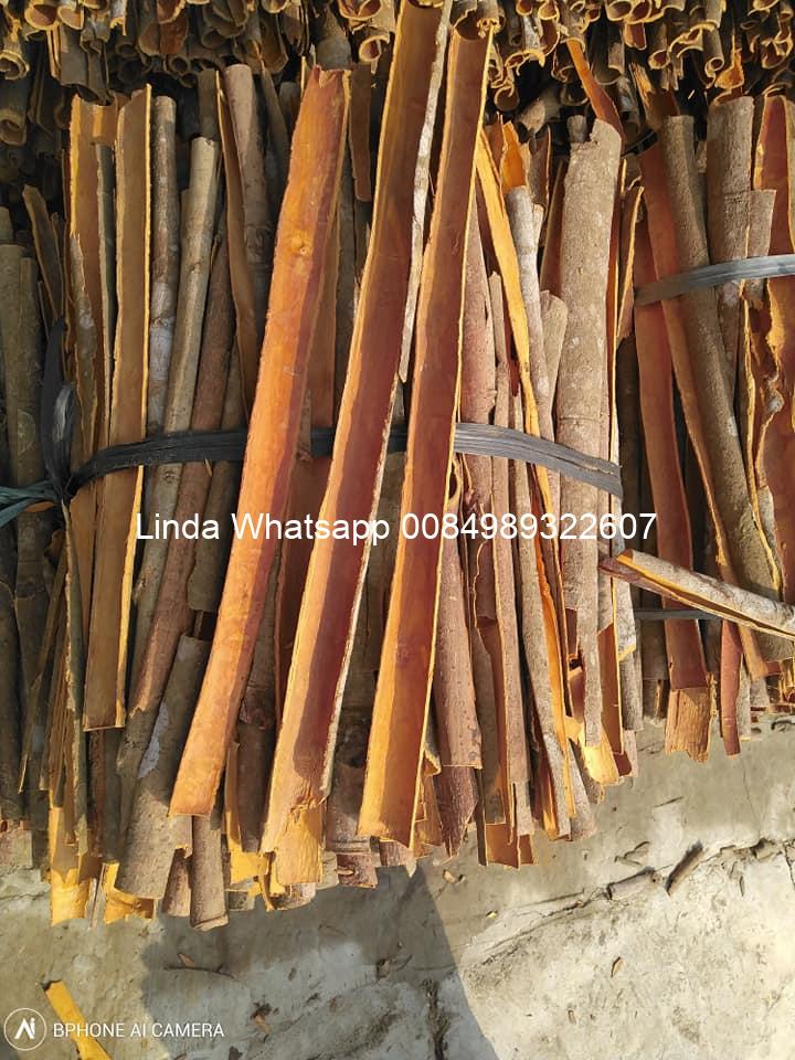 split_cassia (9)