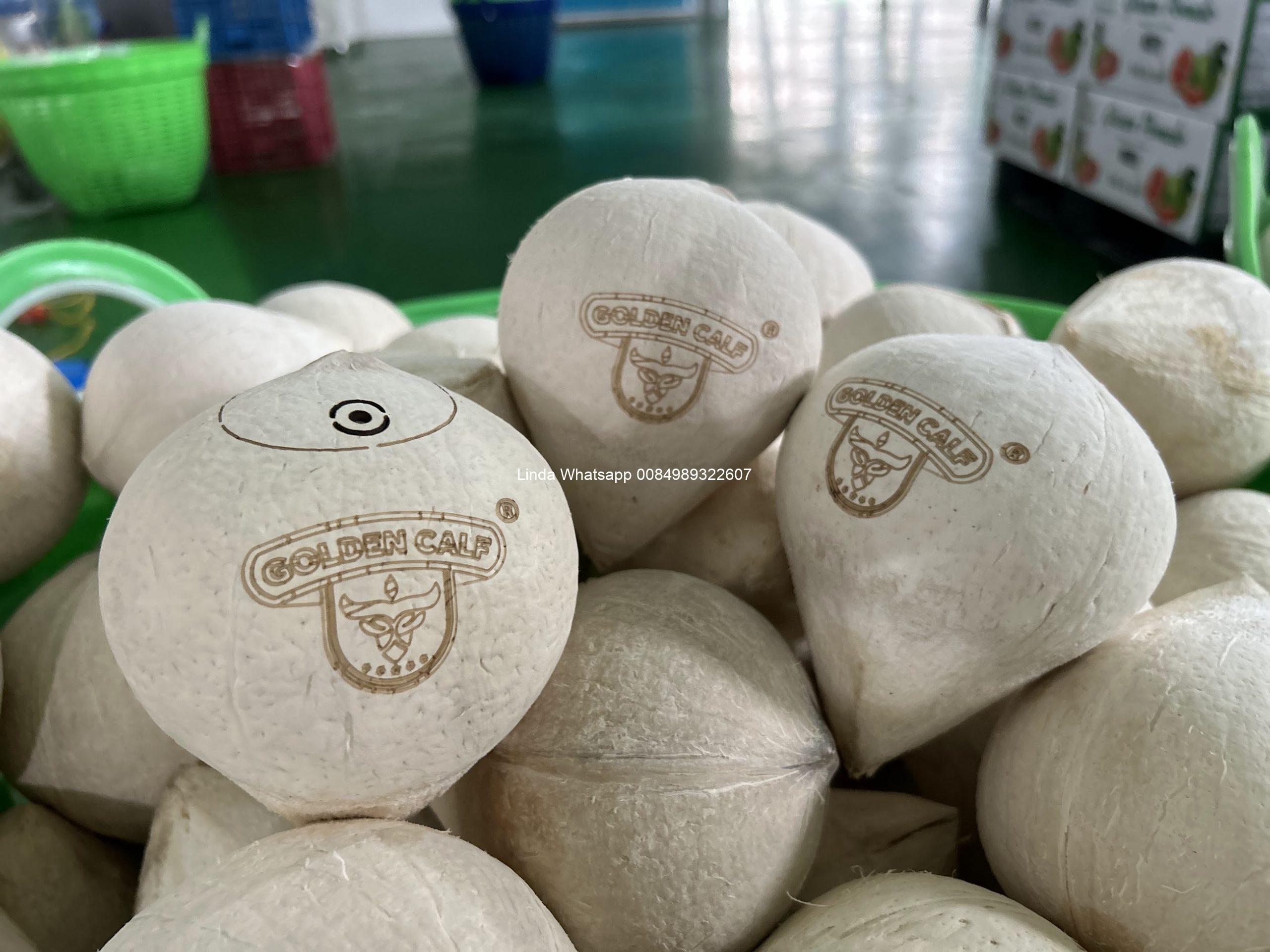 coconut (47)