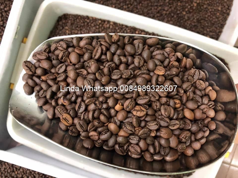 coffee bean (6)