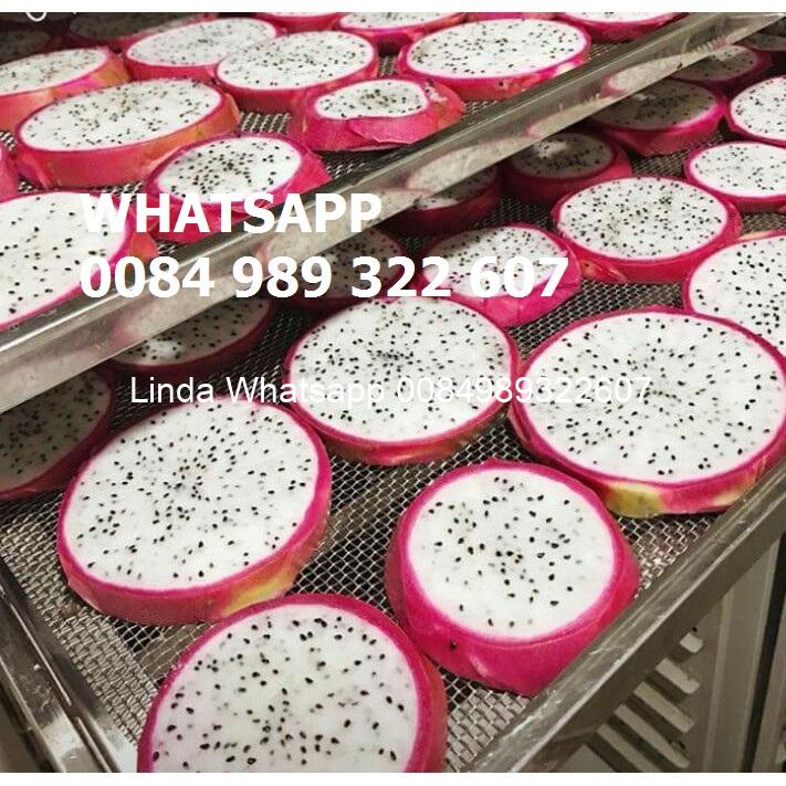 dragon_fruit (8)