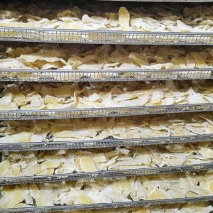 dried-ginger