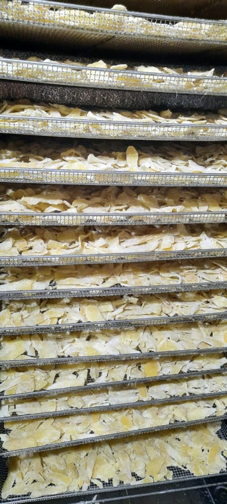 dried-ginger