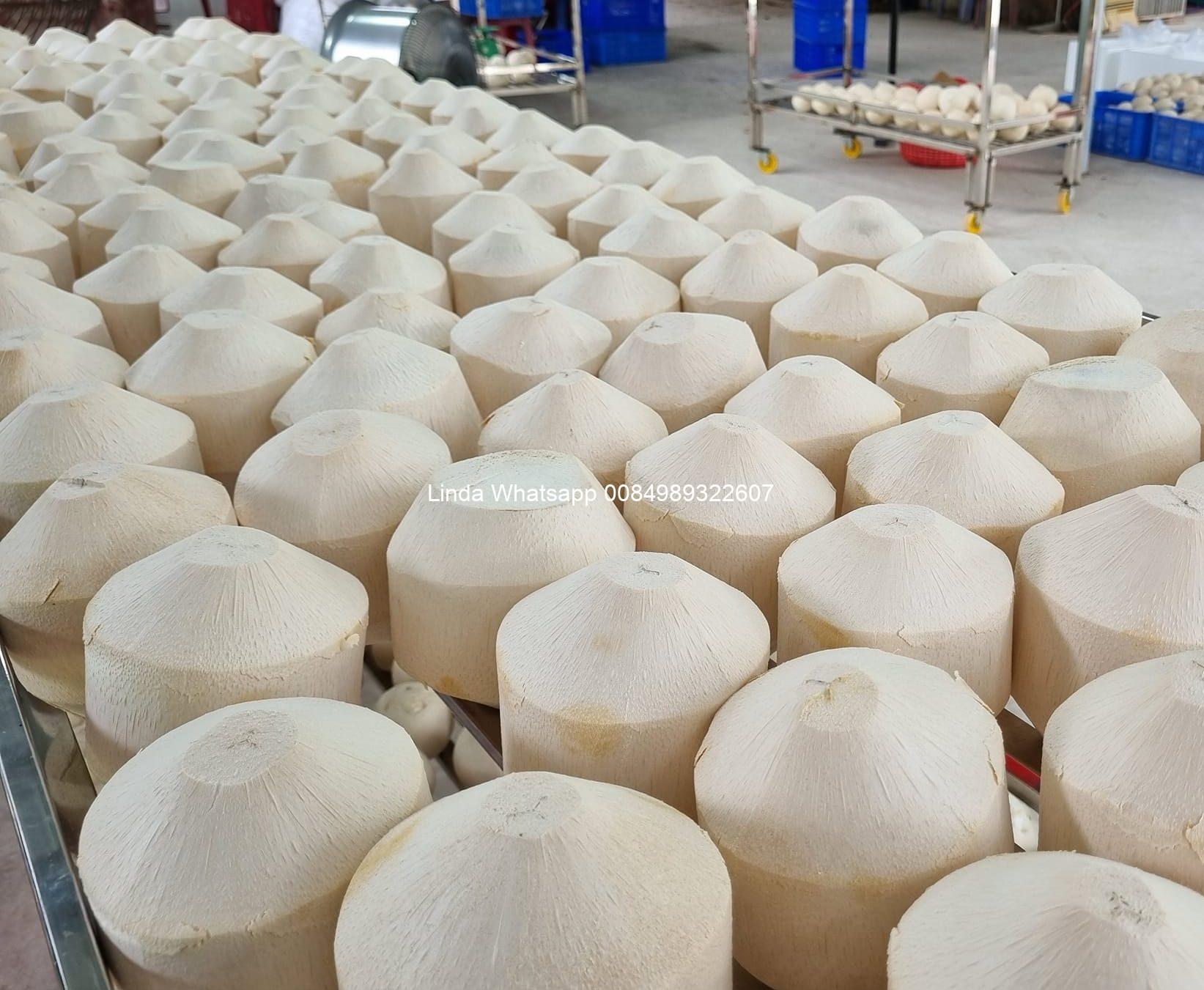 fresh young coconut
