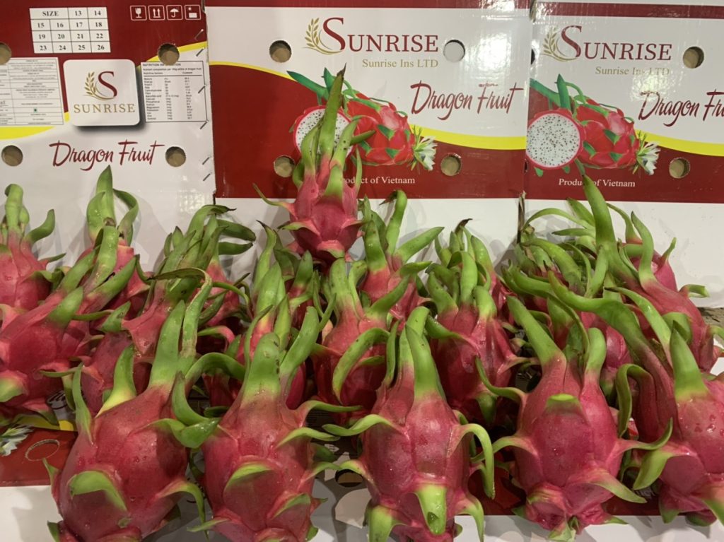 Fresh dragon fruit