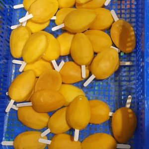 Frozen Mango Skewer