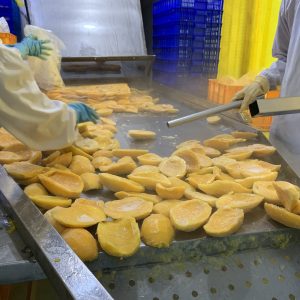 Frozen mango half cut